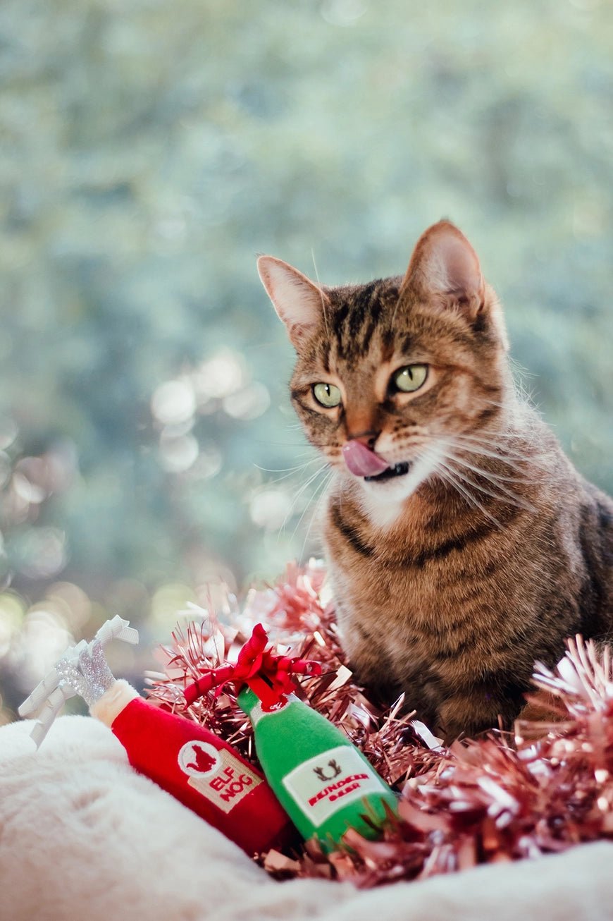 Holiday Catnip Crusherz - Modern Companion
