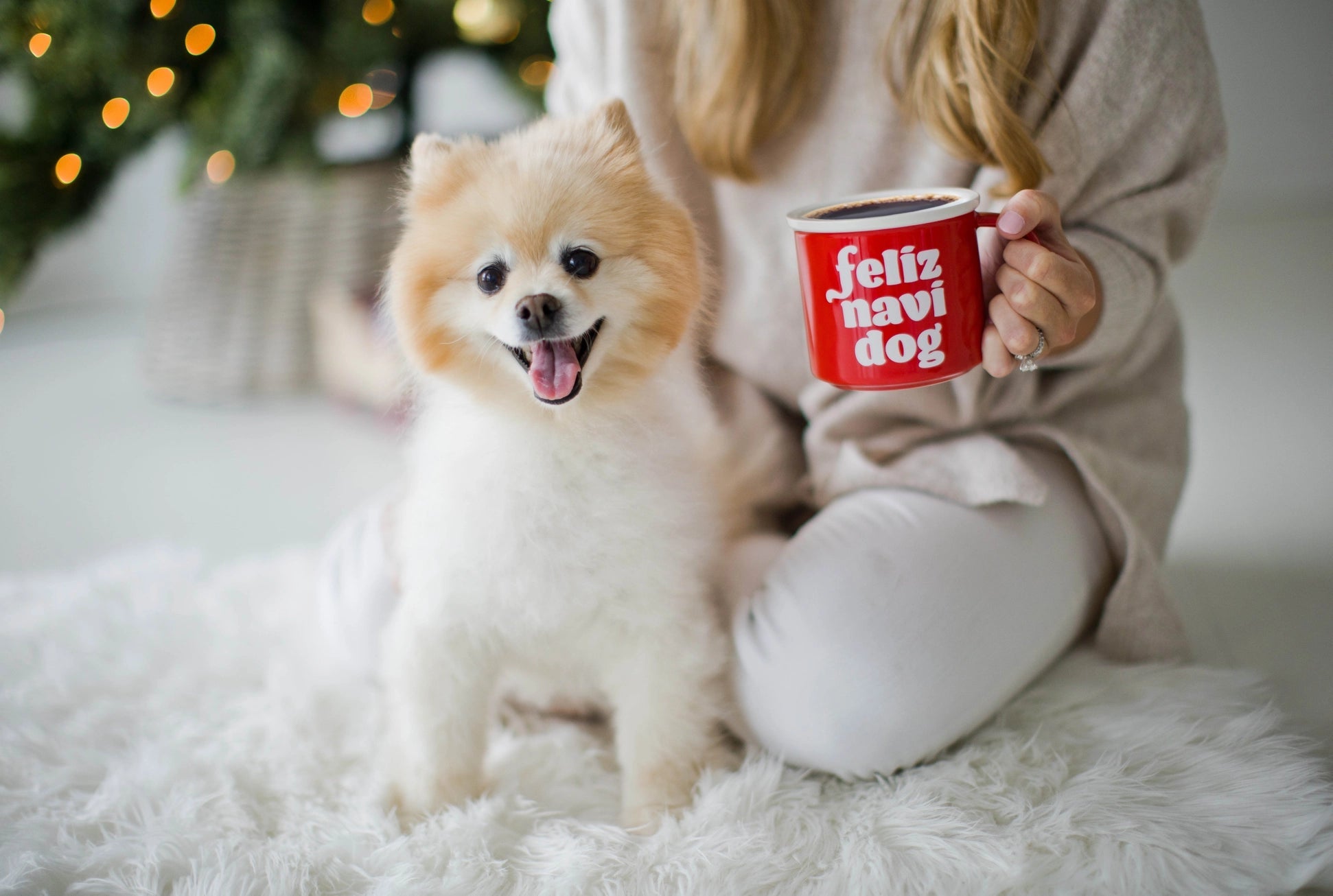 Holiday Feliz Navidog Camper Mug - Modern Companion