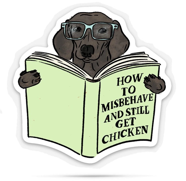How To Misbehave and Still Get Chicken Sticker - Modern Companion