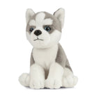 Husky Puppy Plush - Modern Companion