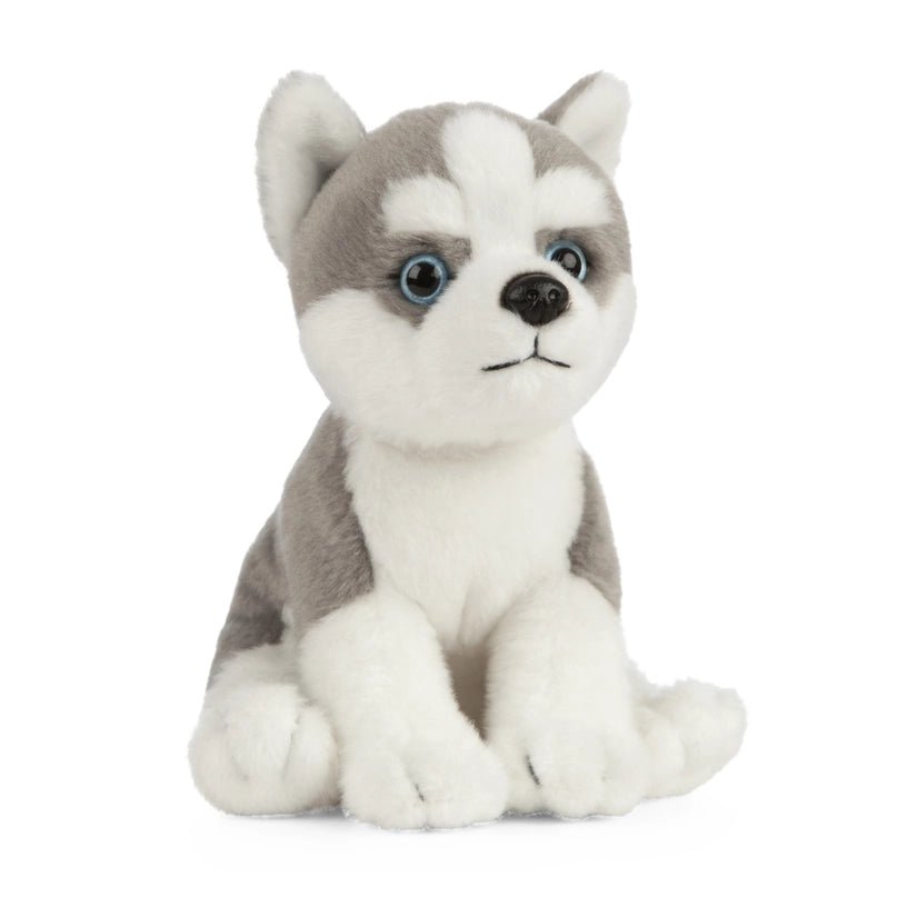 Husky Puppy Plush - Modern Companion