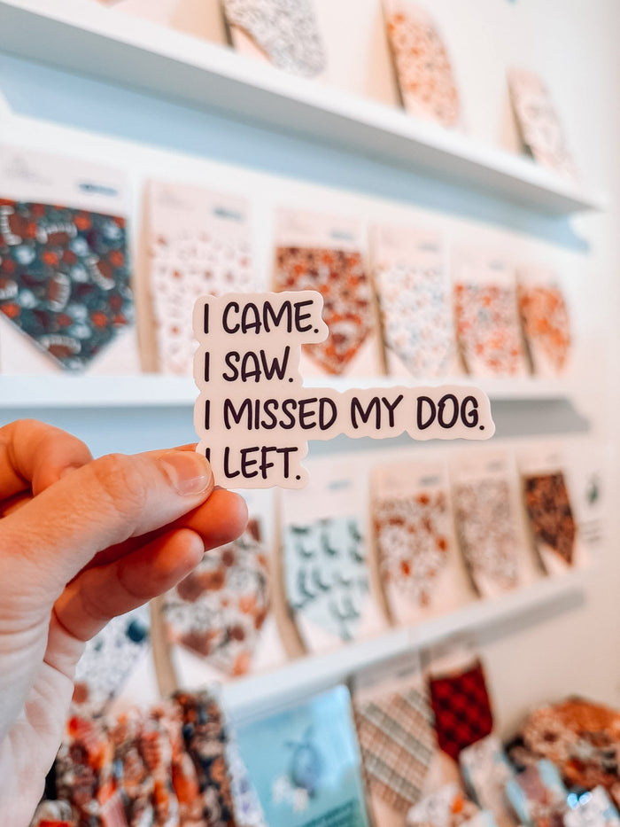 I Came. I Saw. I missed My dog. Sticker