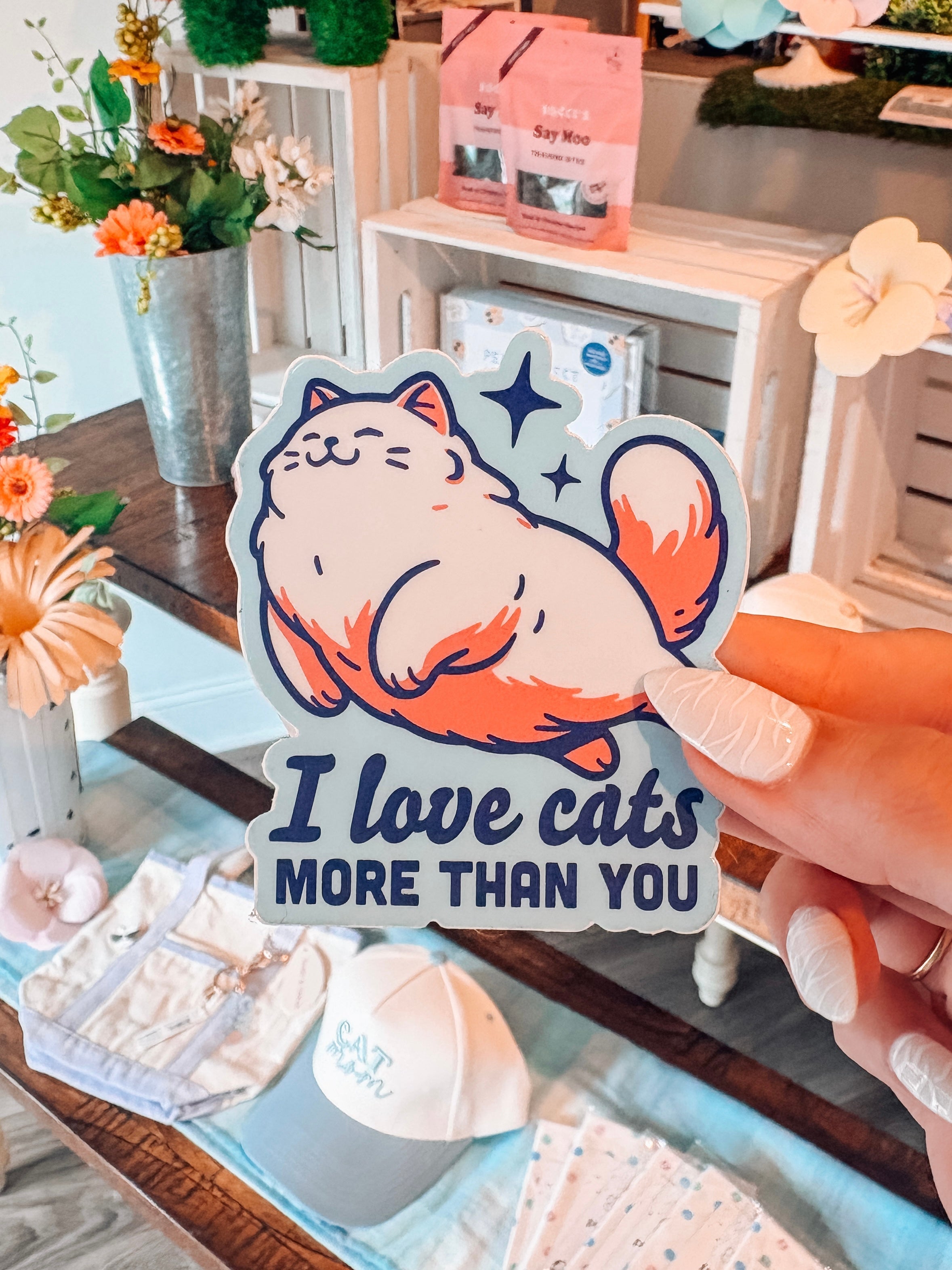 I Love Cats More Than You - Modern Companion
