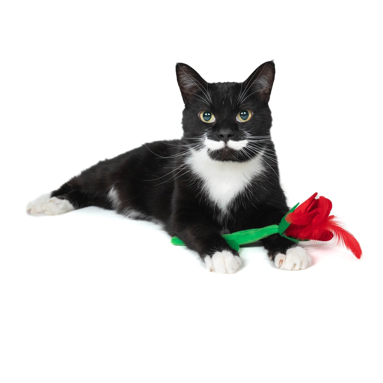 I Pick Mew Rose Catnip Toy - Modern Companion