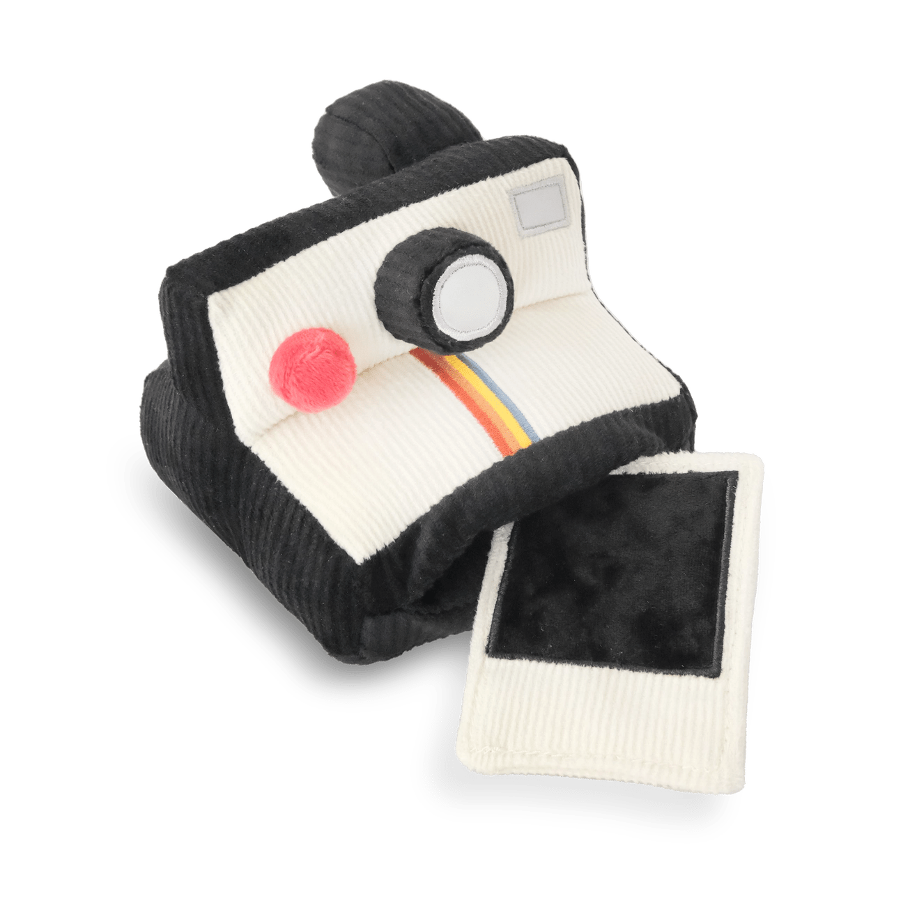 Instant Camera Enrichment Toy - Modern Companion