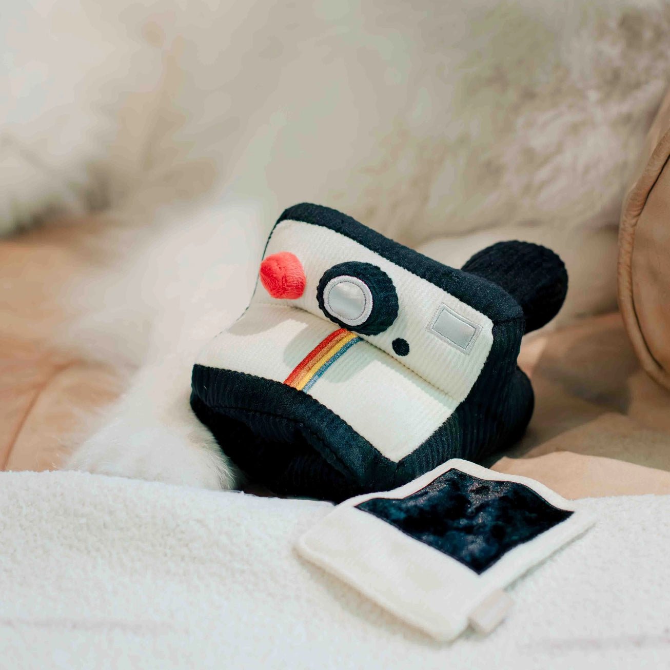 Instant Camera Enrichment Toy - Modern Companion