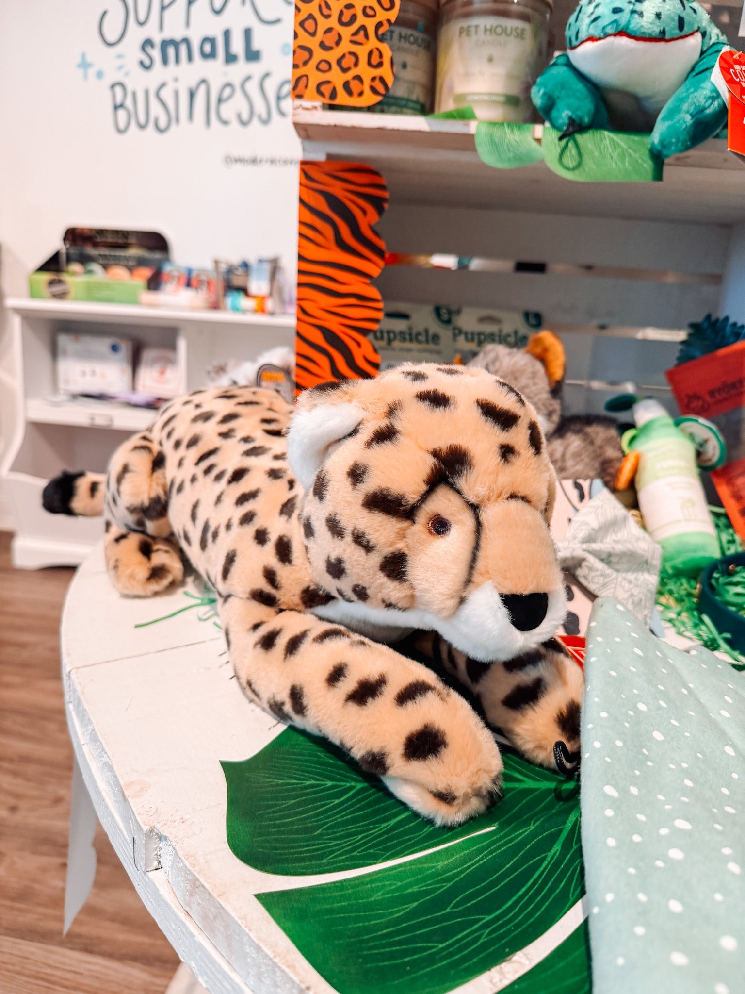 Kali Cheetah - Modern Companion