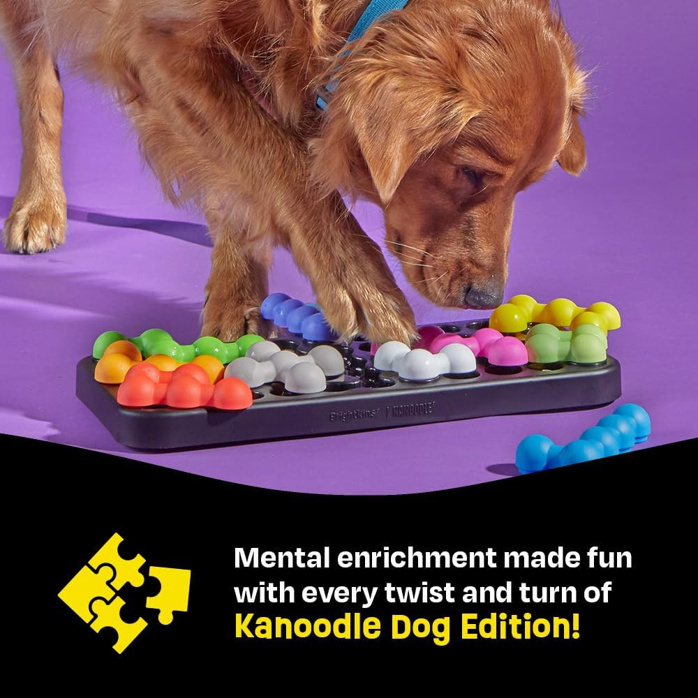 Kanoodle Puzzle - Modern Companion