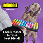 Kanoodle Puzzle - Modern Companion