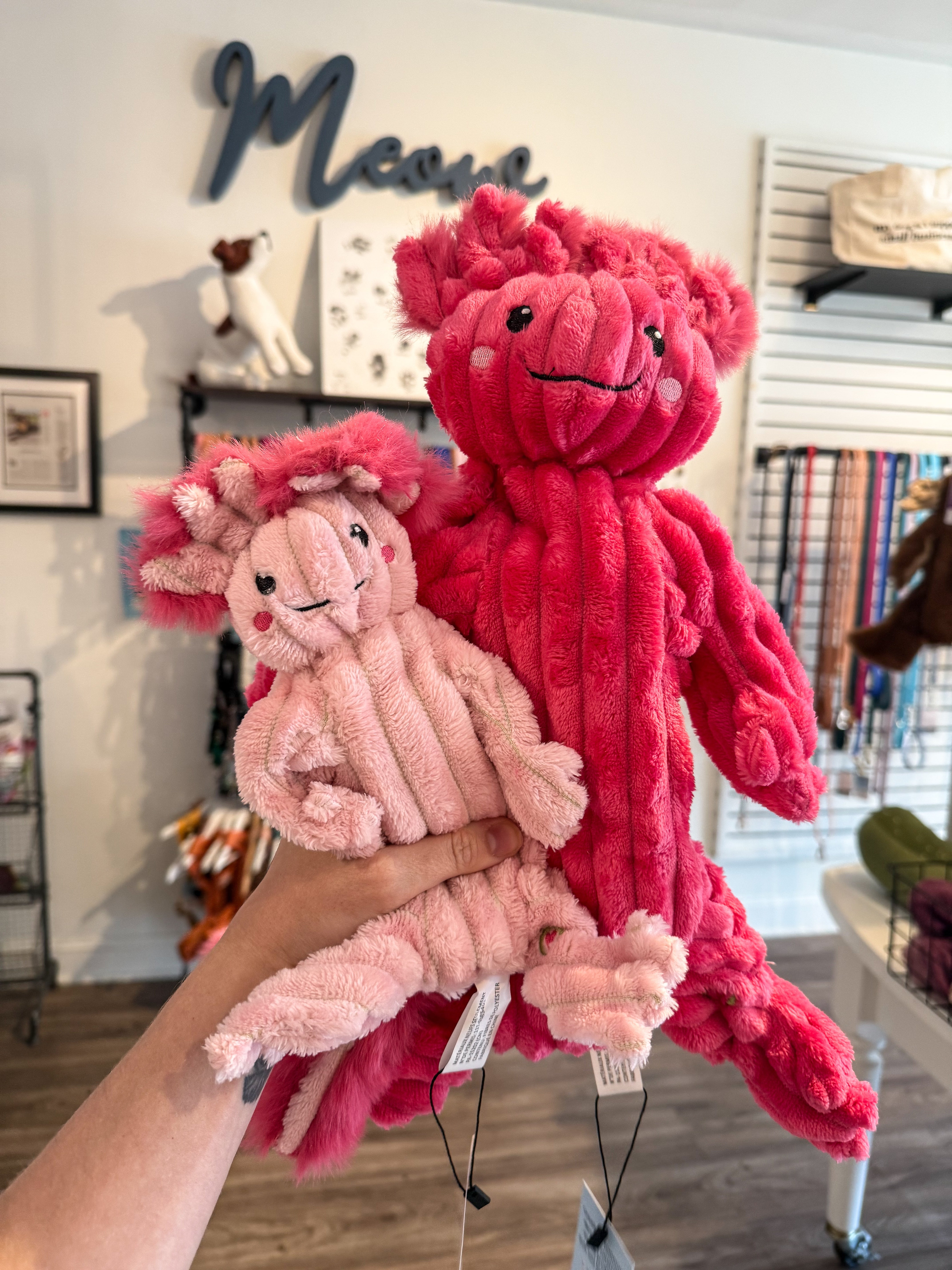 Kiki & Gillie Axolotl - Modern Companion