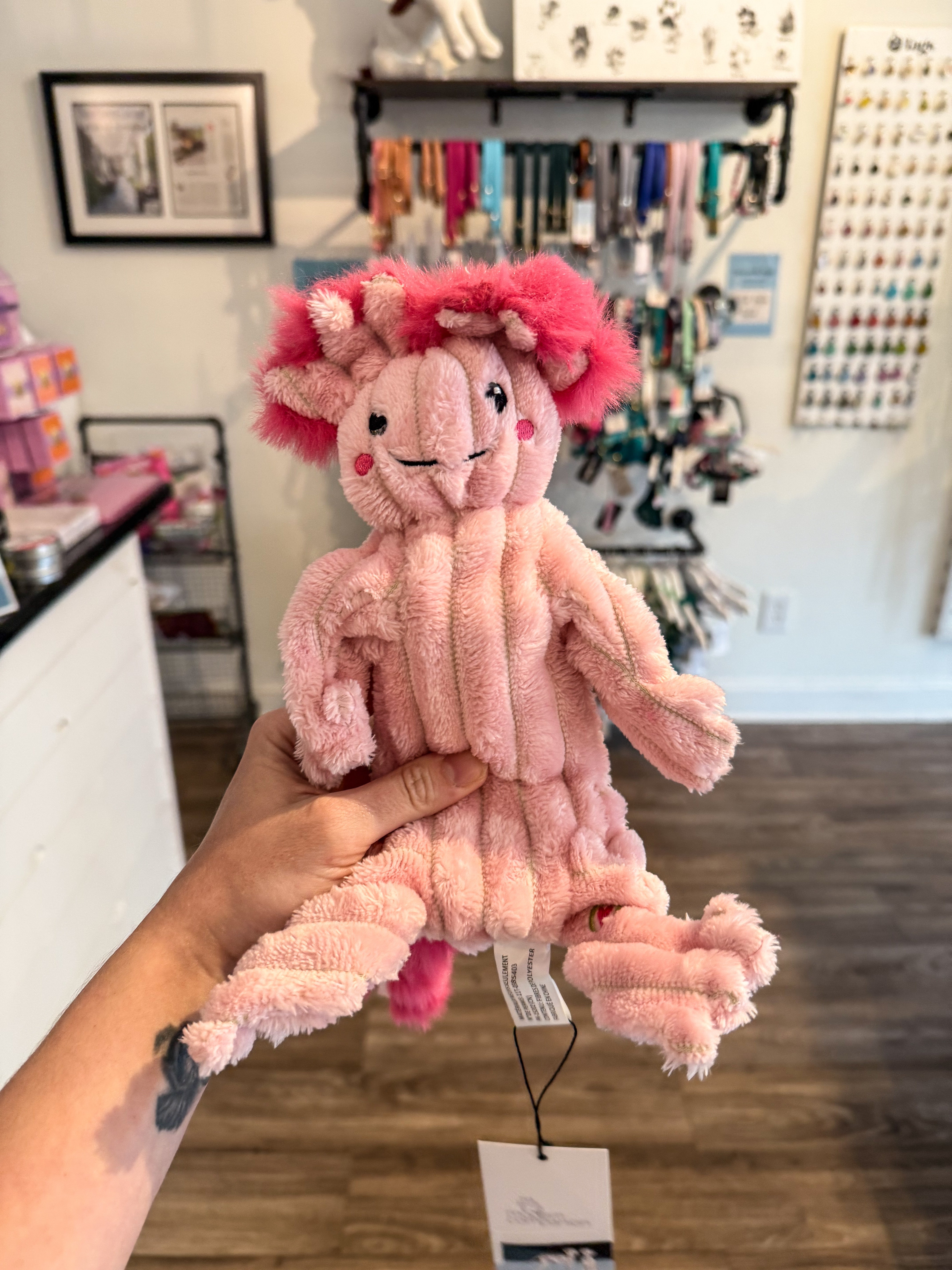 Kiki & Gillie Axolotl - Modern Companion