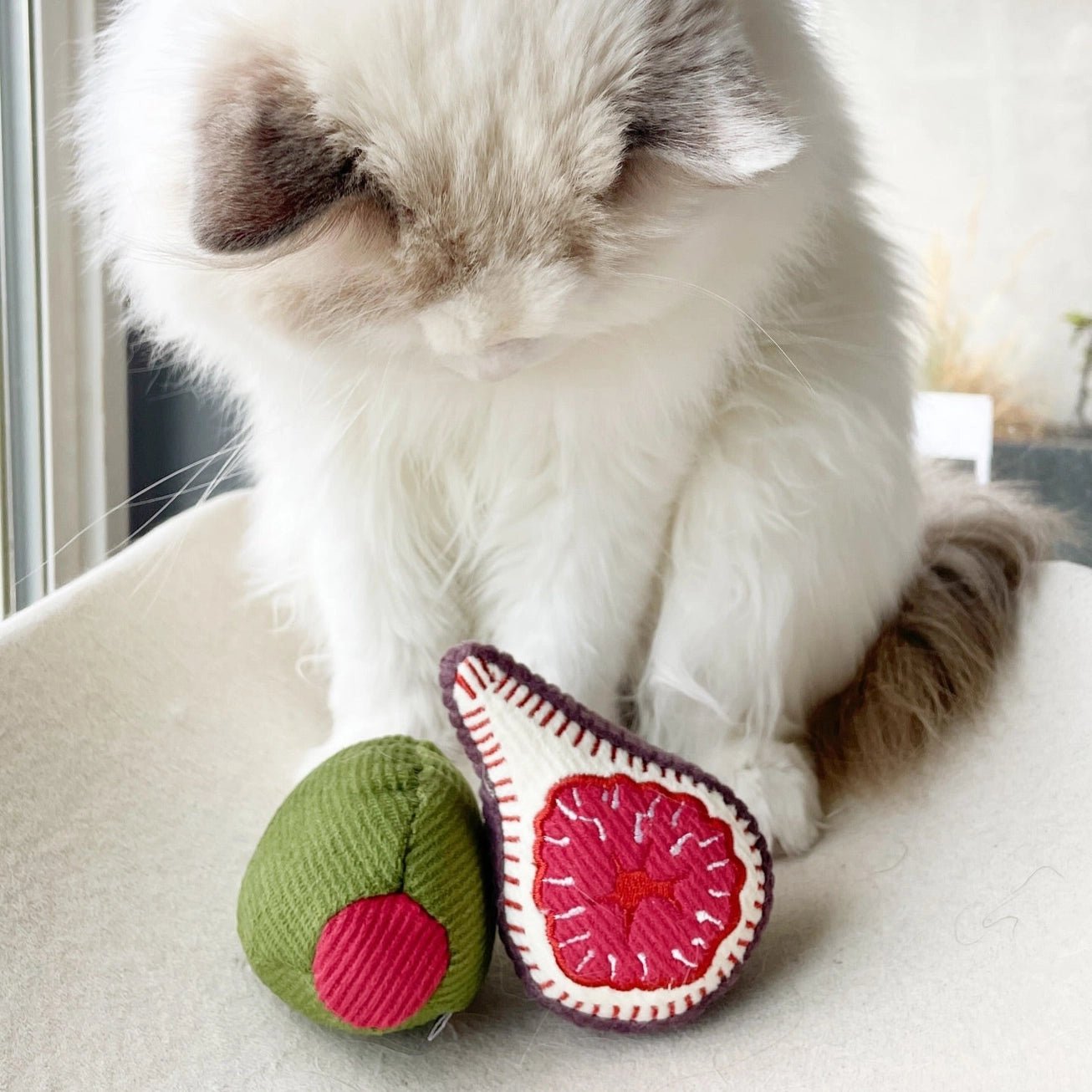 Kitty Olive + Fig Toy - Modern Companion