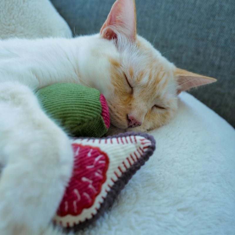 Kitty Olive + Fig Toy - Modern Companion