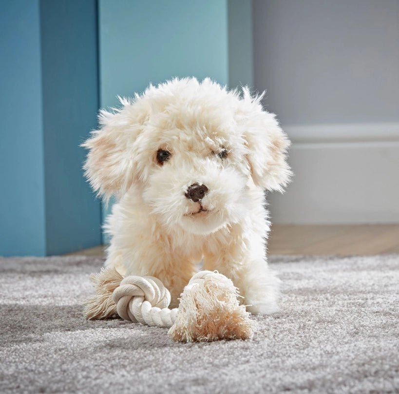 Labradoodle Plush - Modern Companion