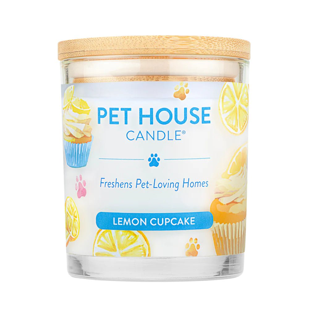 Lemon Cupcake Candle - Modern Companion