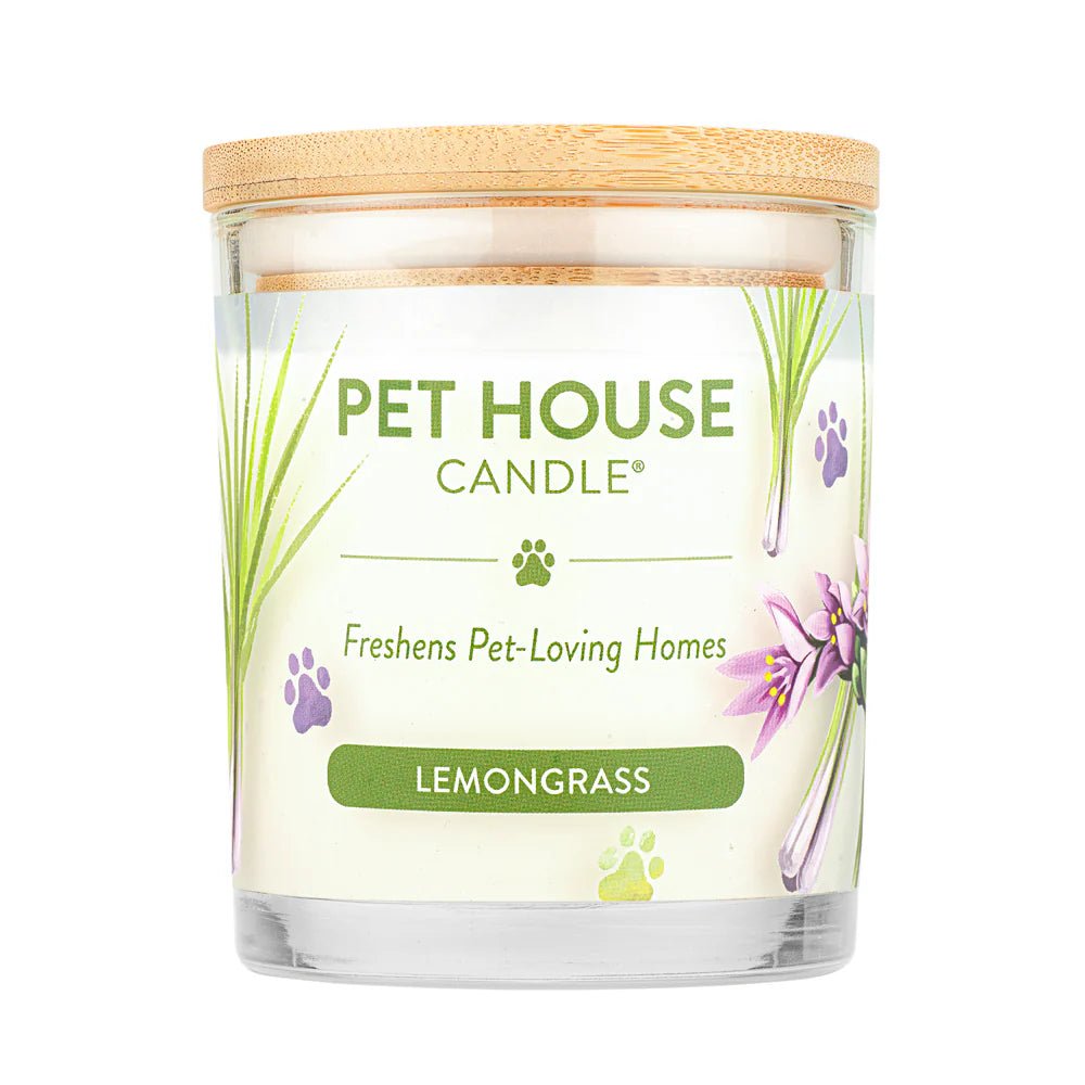 Lemon Grass Candle - Modern Companion