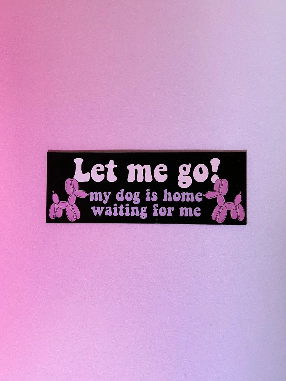 Let Me Go Car Magnet - Modern Companion