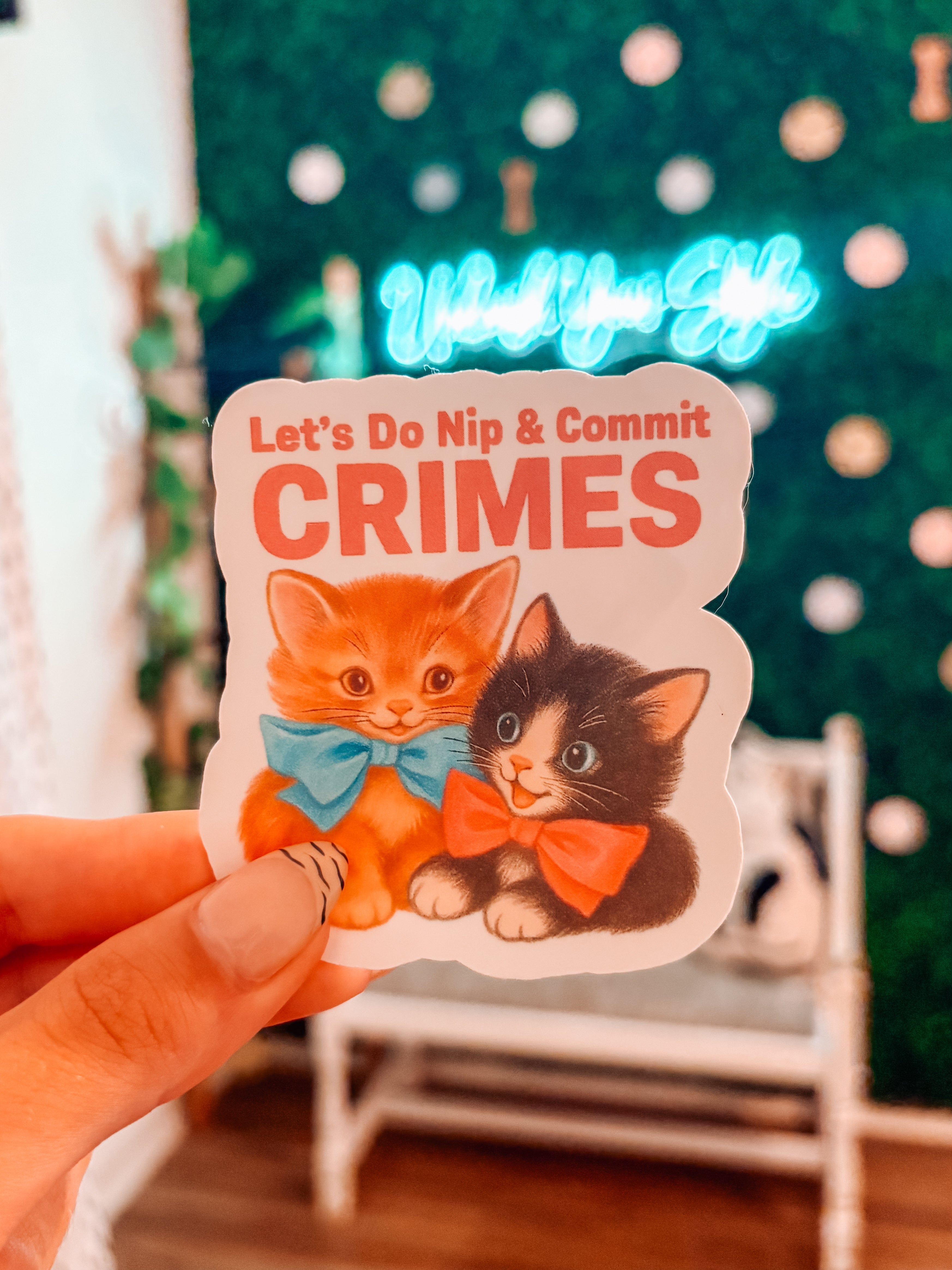 Let’S Do Nip Cat Funny Sticker - Modern Companion