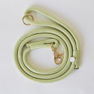 Lime Green Braided Rope Leash - Modern Companion