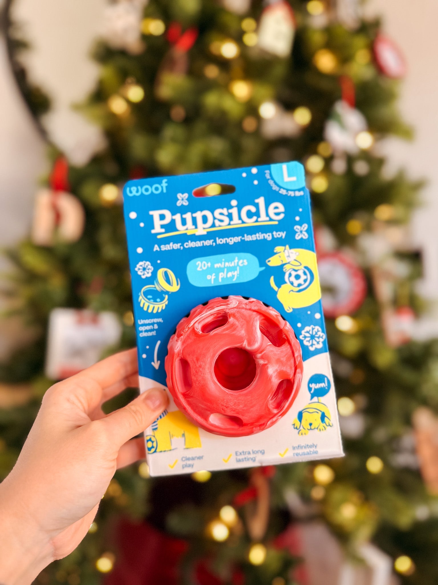 Limited Edition Holiday Winter Pupsicle - Modern Companion