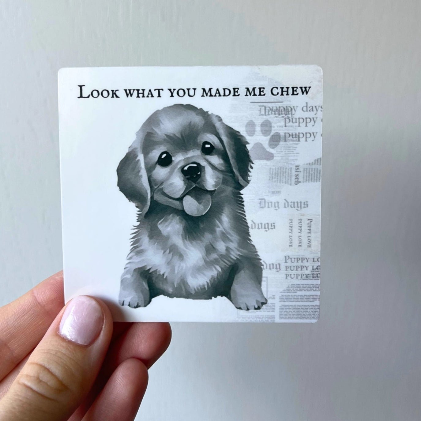 Look What You Made Me Chew Sticker - Modern Companion