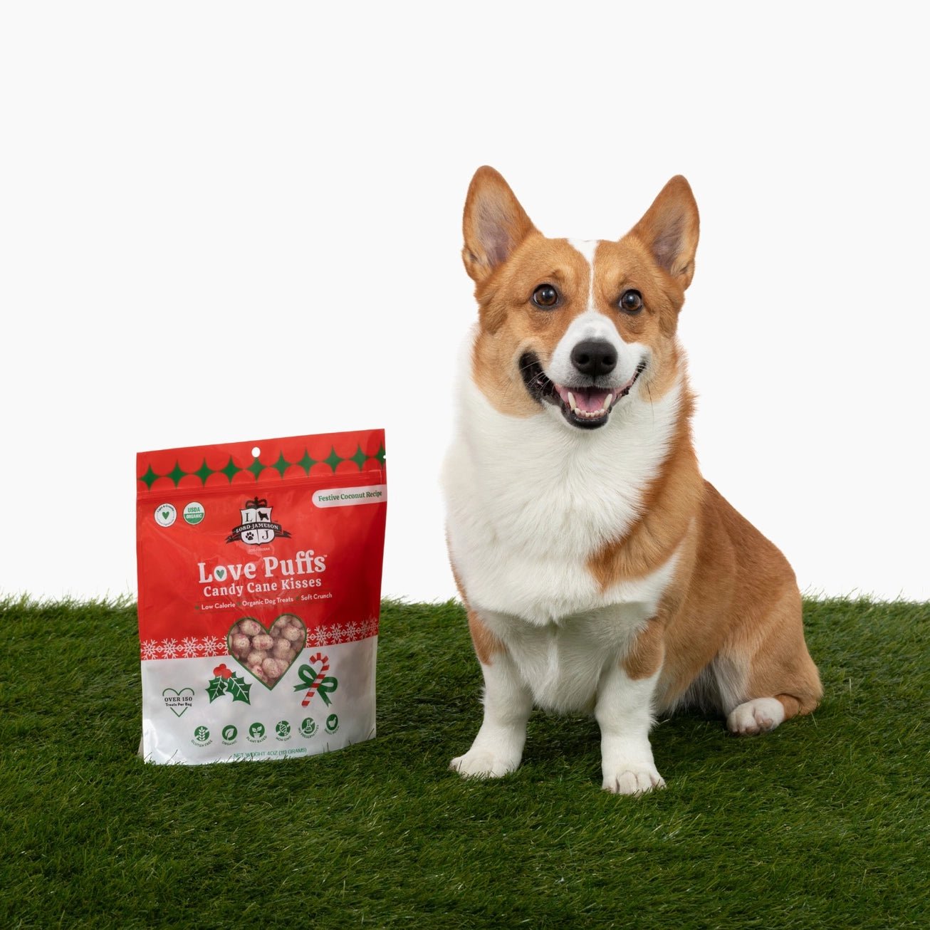 Love Puffs Candy Cane Kisses Treats - Modern Companion