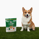 Love Puffs Jingle Bells Treats - Modern Companion