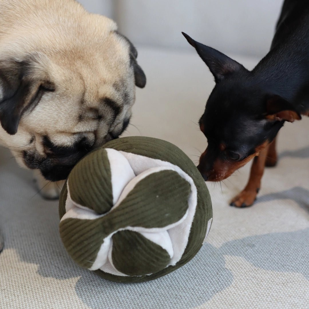 Mini Monti Snuffle Toy - Modern Companion