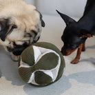 Mini Monti Snuffle Toy - Modern Companion