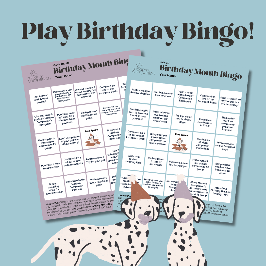 Modern Companion's Birthday Bingo - Modern Companion