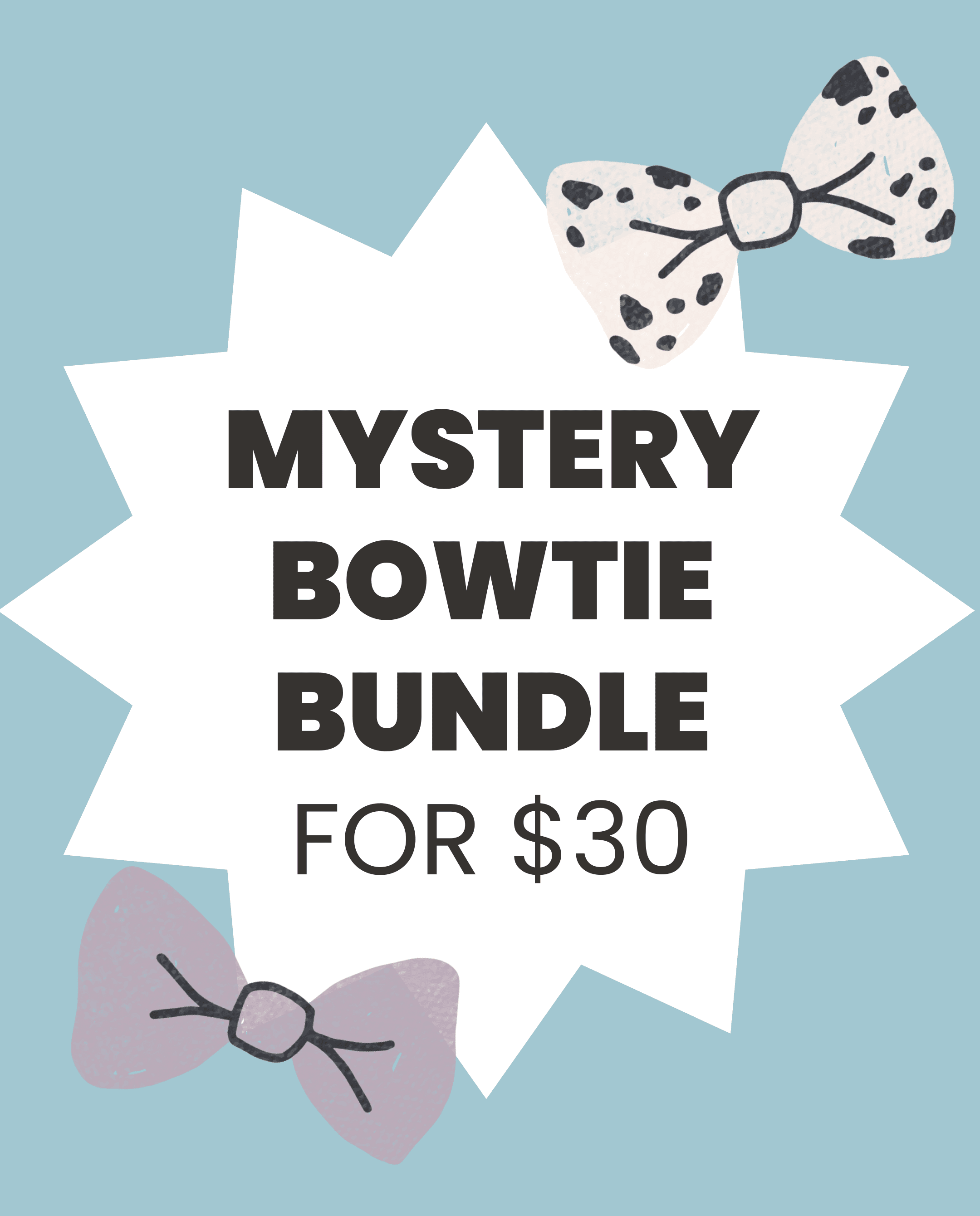 Mystery Bowtie Bundle - Modern Companion