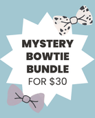 Mystery Bowtie Bundle - Modern Companion