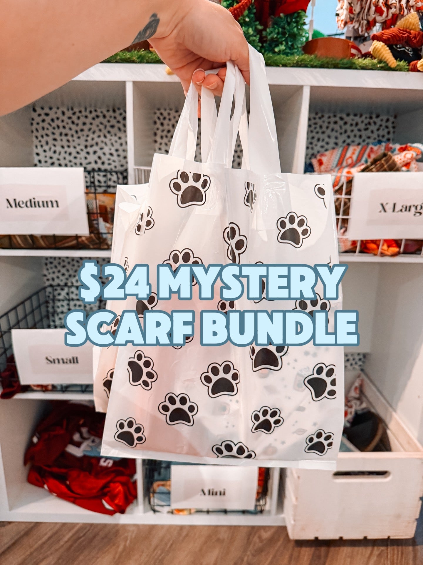 Mystery Scarf Bundle - Modern Companion