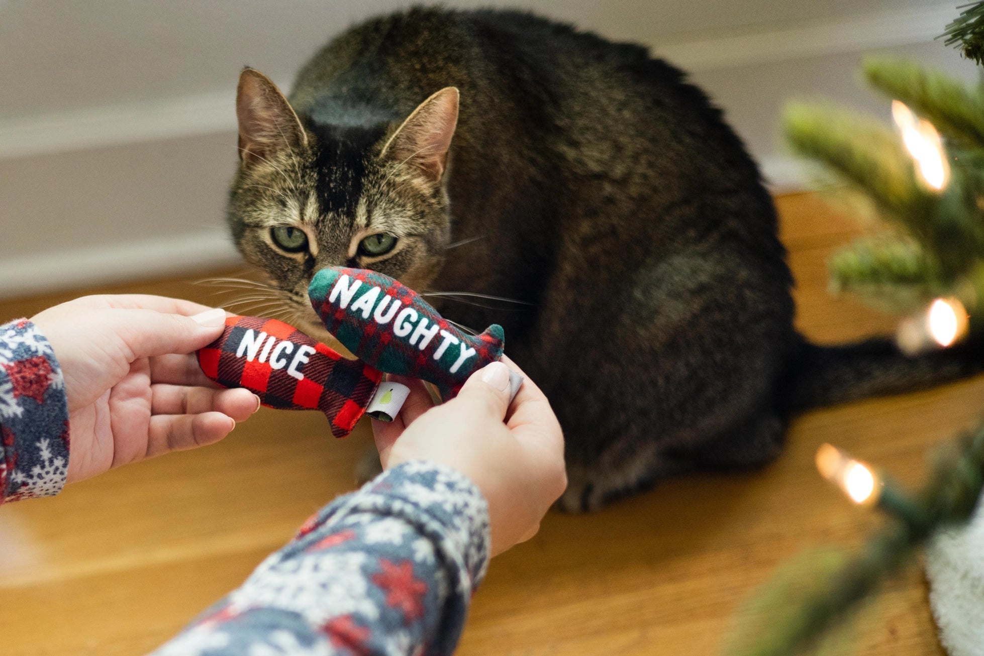 Naughty or Nice Cat Toy - Modern Companion