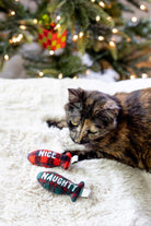 Naughty or Nice Cat Toy - Modern Companion