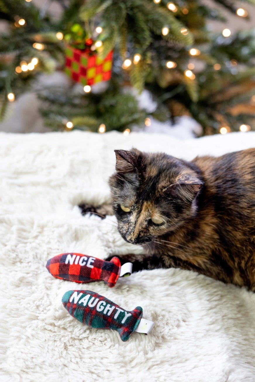 Naughty or Nice Cat Toy - Modern Companion