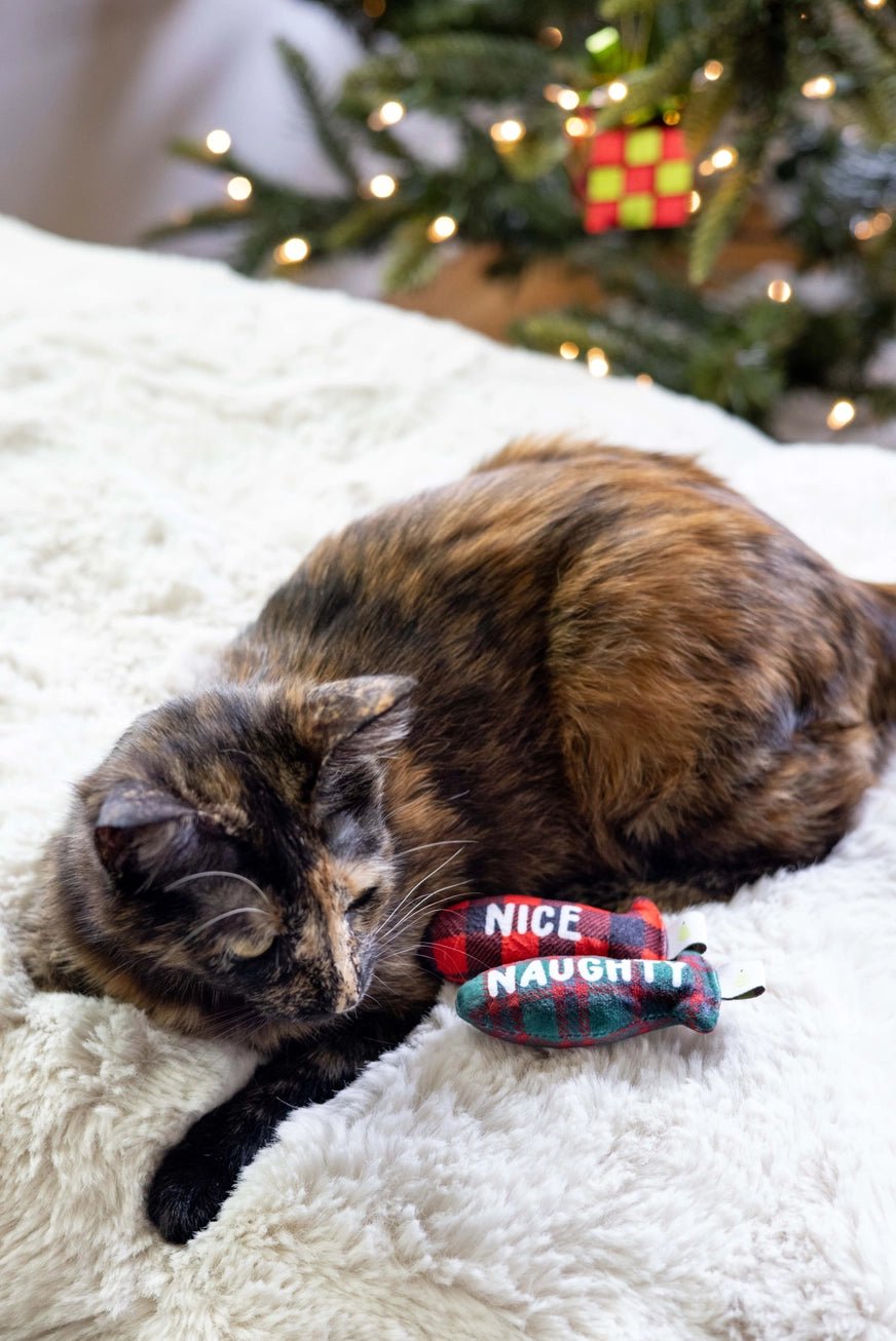 Naughty or Nice Cat Toy - Modern Companion