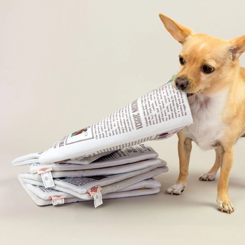 Newspaper Nosework Toy - Modern Companion