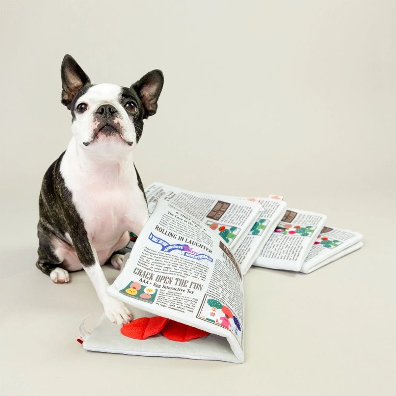 Newspaper Nosework Toy - Modern Companion