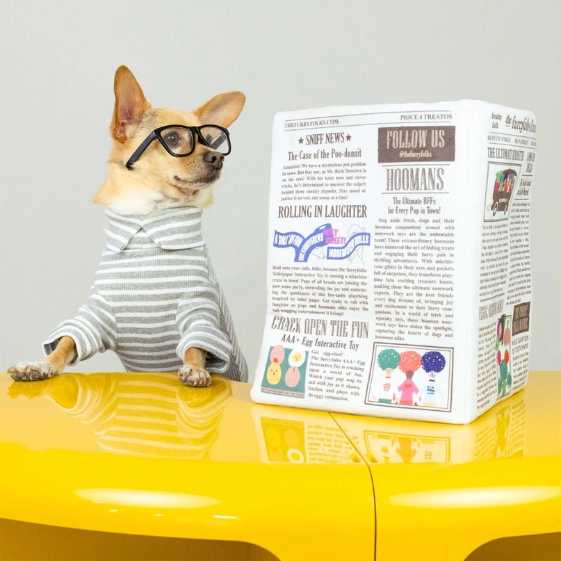 Newspaper Nosework Toy - Modern Companion