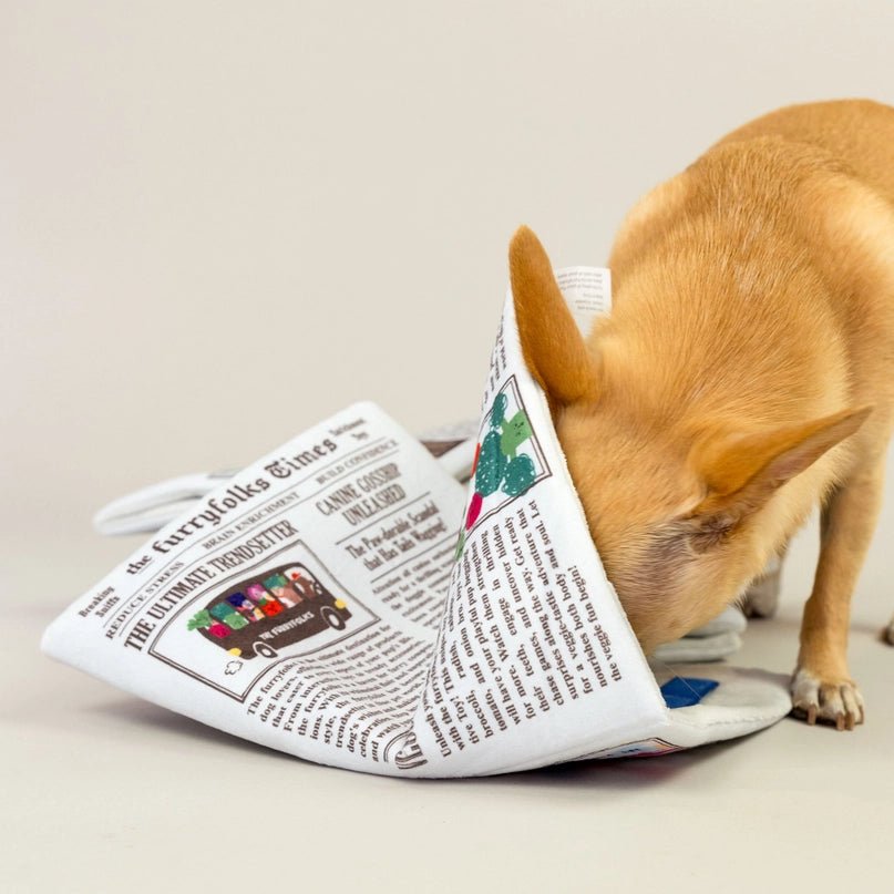 Newspaper Nosework Toy - Modern Companion