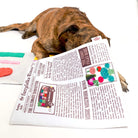 Newspaper Nosework Toy - Modern Companion