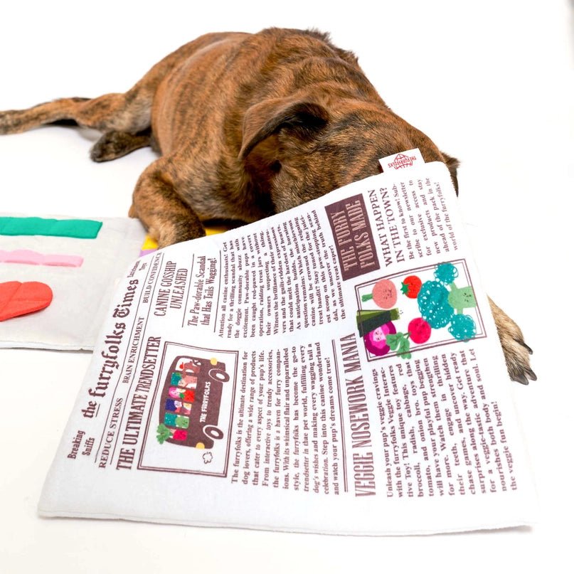 Newspaper Nosework Toy - Modern Companion