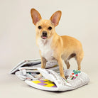 Newspaper Nosework Toy - Modern Companion