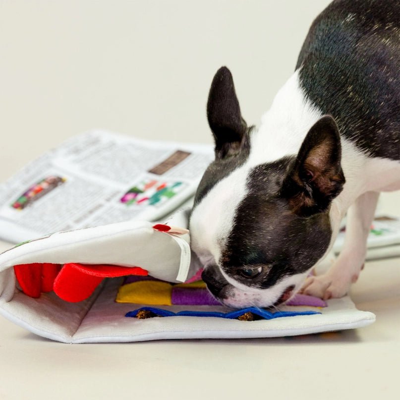 Newspaper Nosework Toy - Modern Companion