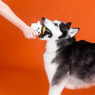 One Wicked Ghost Chew Toy - Modern Companion