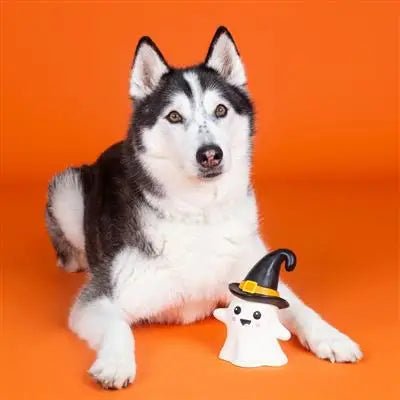 One Wicked Ghost Chew Toy - Modern Companion