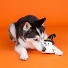 One Wicked Ghost Chew Toy - Modern Companion