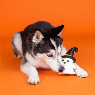 One Wicked Ghost Chew Toy - Modern Companion