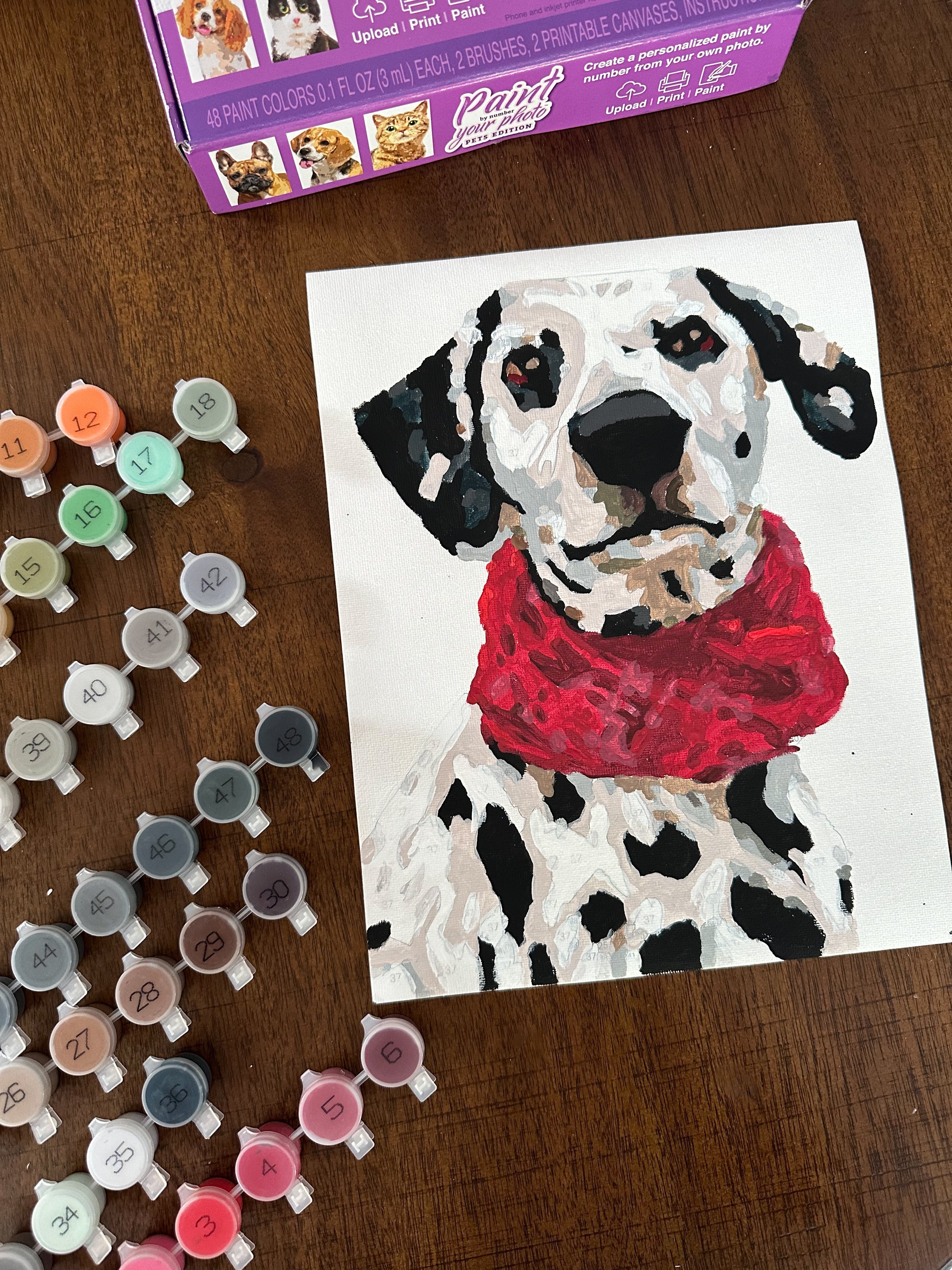 Paint Your Pet By Number Kit - Modern Companion